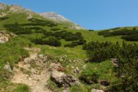 2015-07-04_2Sonnjoch (368).JPG